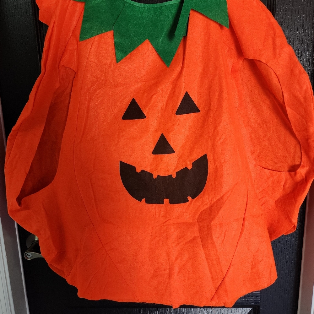 HALLOWEEN Pumpkin and Pumpkin Eater Costume